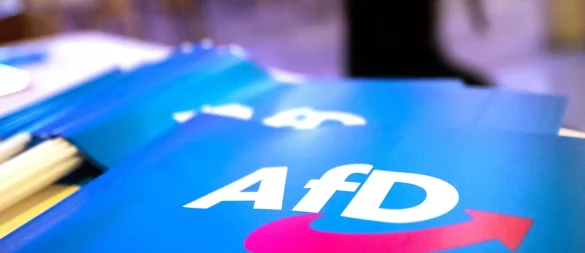 Die AfD verzeichnet landesweit große Zuwächse. Auch in OWL zeigt sich das - © Daniel Karmann/dpa