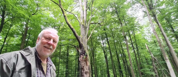 Stephan Radecks Lieblingsbaum steht gar nicht so weit weg vom Blomberger Forsthaus: Die alte, mächtige Buche hat schon viele Stürme überstanden. - © Marianne Schwarzer
