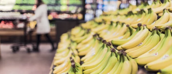 Welche Rechte habe ich als Verbraucher beim Einkauf von Obst und Gemüse? - © Symbolfoto: Pixabay