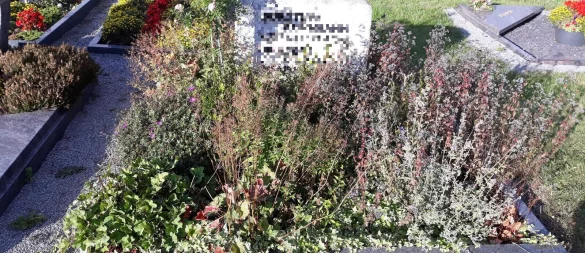 Üppig mit Stauden bepflanzt ist das Grab auf dem Billerbecker Friedhof, das die Eheleute Kuhlmann pflegen. - © Ellen Siegismund-Kuhlmann