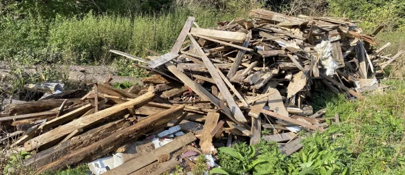 Wilder Müll: Eine illegale Entsorgungsstelle für Abfälle in einem Waldgebiet in Löhne im Kreis Herford. - © Dirk Windmöller