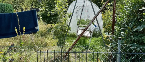 Nachbarn beschweren sich an der Tecklenburger Straße 35 über Bewohner und Cannabisanbau - © Robert Becker