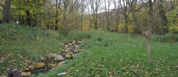 Seit vielen Jahren wird hier an der Renaturierung gearbeitet. 2020 beseitigte ein neu angelegter Gewässerverlauf dank des Projektes "Wasser im Fluss" den Wasserstau zwischen der Weser und dem Herrengraben. - © Archivfoto: Kreis Lippe