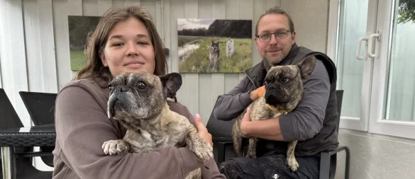 Tierheim-Mitarbeiterin Leonie Vollmer und Björn Schakat mit den französischen Bulldoggen "Philipp und "Paul". - © Sven Kienscherf