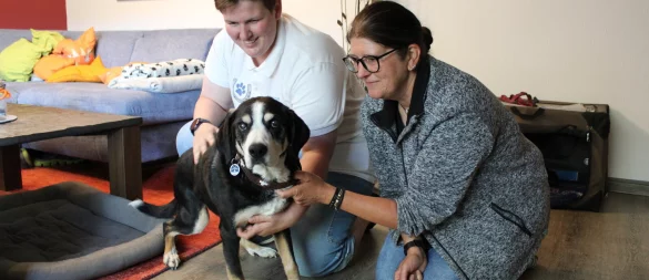 Der Patient wird dort behandelt, wo er sich wohlfühlt: Zuhause. Nadine Schremmer (links) untersucht Arthus, den 13 Jahre alten Entlebucher Sennenhund von Tanja Göckemeyer. - © Annika Langhagel