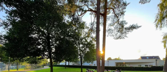Trainingsidylle beim VfL Schlangen bei untergehender Sonne auf der Wiese unter den Bäumen zwischen Kita Regenbogen und der Rennekamp-Halle an der Badstraße. - © Nicole Wilm