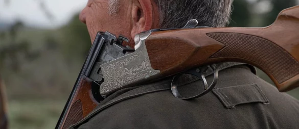 Die Drückjagdsaison in Lippe ist gestartet. - © Symbolbild Pixabay