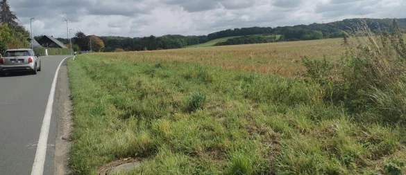 Auf dieser freien Fläche an der Fütiger Straße in Almena will Edeka einen "Nah-und-gut"-Markt bauen. - © Sylvia Frevert