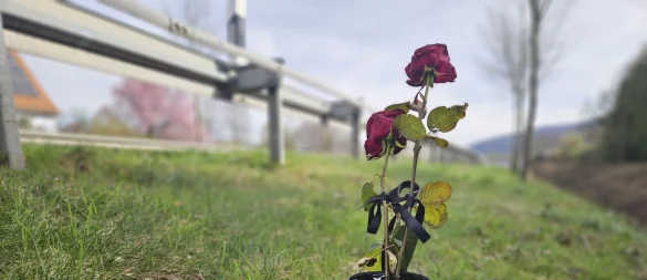 Angehörige hatten an der Unfallstelle auf einer Schnellstraße in Lügde Blumen und eine Kerze hingestellt. - © Janet König