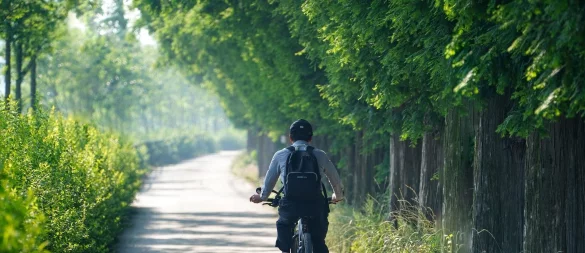 Sichere Radwege wie diesen wünschen sich Radfahrer. - © Pixabay