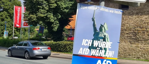 Eine kurze Weile hat das umstrittene Plakat auch in Schieder an der Ortsdurchfahrt gehangen, mittlerweile hat es aber jemand zerstört. - © Marianne Schwarzer