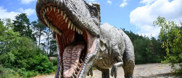 Ein Modell eines Raubsauriers Tyrannosaurus Rex steht im Dinopark Münchehagen. - © dpa