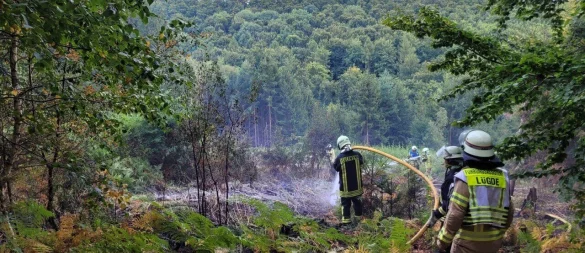 Die Feuerwehr Lügde löscht einen "versteckten" Waldbrand. - © Feuerwehr Lügde