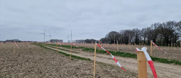 Auf diesem Feld soll das Windrad gebaut werden. Die Pflöcke sollen verhindern, dass die Feldlerche in der Nähe brütet. Im Hintergrund sind die vier Windkraftanlagen auf Lagenser Gebiet zu sehen. Die Bäume davor sind Teil des Naturschutzgebiets Hardisser Moor. - © Nadine Uphoff