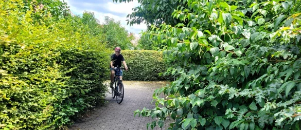 Werner Kloppmann vom ADFC fährt mit seinem Rad auf dem schmalen Weg zwischen Hornschem Weg und Zum Kleinen Siek. Bis vor wenigen Tagen wuchs die Hecke noch auf den Weg, jetzt wurde sie geschnitten. - © Katrin Kantelberg