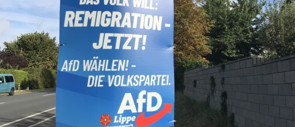 Die AfD hat bei der Integrationsratswahl in Detmold überraschend gut abgeschnitten. - © Anneke Quasdorf