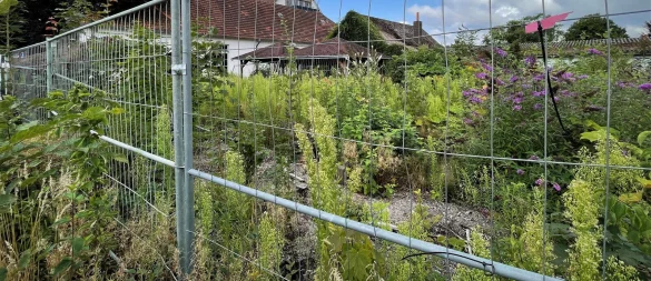 Das leerstehende Hotel-Restaurant Büscher in Bielefeld-Quelle verfällt seit Dezember 2023. Die Pflanzenwelt hat den Biergarten bereits rückerobert. - © Susanne Lahr