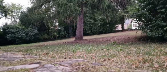 Um diese Grünfläche am Südhagenweg gegenüber der Grundschule Bösingfeld geht es. - © Nadine Uphoff
