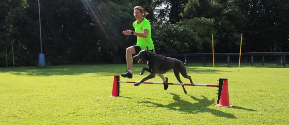 Hürdenlauf ist eine Disziplin im Turnierhundesport. Nadine Spiritus zeigt auf dem Partner-Hund-Gelände mit dem vierjährigen Leroy, wie es geht. - © Annika Langhagel