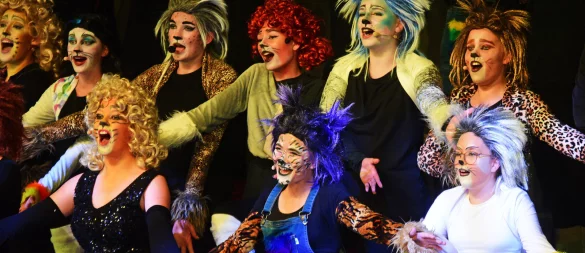 Für das Musical "Cats" haben sich Schüler des Grabbe-Gymnasiums in Katzen verwandelt. - © Nicole Ellerbrake
