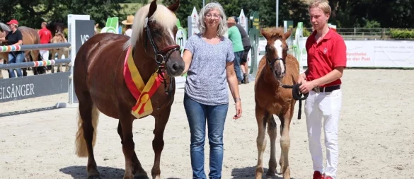 Anja Deppenmeier mit ihrem Hengstfohlen Willy, Siegerfohlen 2024, und dem Dörentruper Züchter Jendrik Barth. - © Jana Linnenbrügger