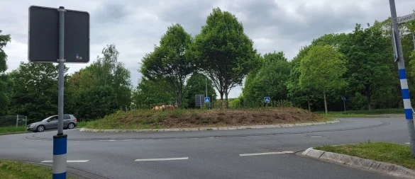 Nachdem der Wildwuchs beseitigt wurde, ist wieder Durchblick möglich. - © Vasco Stemmer