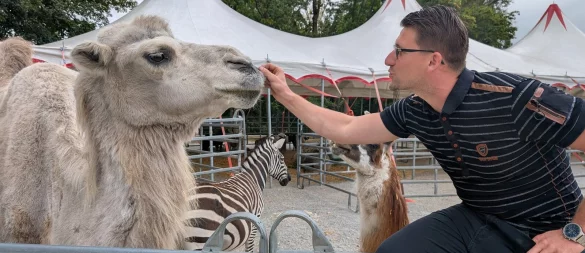 Jeffry Freiwald mit Kamel Shakira auf dem Regenstorplatz in Lemgo. Im Hintergrund tummeln sich Zebra Smiley und Lama Figo. - © Annika Langhagel