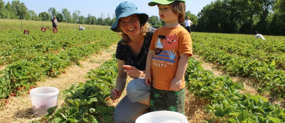 Die Erdbeerfelder von Hanken in Lemgo-Entrup sind am frühen Nachmittag gut besucht. Julia Langer und ihrem Sohn Merlin (3) schmecken die selbstgepflückten Beeren am besten. "Man merkt, dass es aufgrund der hohen Preise boomt." - © Annika Langhagel