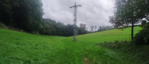Die Fläche am Wiebesiekbach, auf der das Kaskadensystem zum Starkregenschutz entstehen soll. - © Gemeinde Kalletal