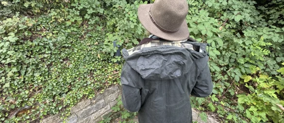 Eine Frau blickt auf eine Lücke in einer Gartenhecke (Symbolbild). - © Sven Kienscherf