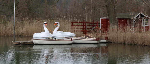 Sorgen für Diskussionen: Die beiden im Frühjahr gespendeten Schwanentretboote. Aktuell ruht der Verleih. - © Annika Langhagel