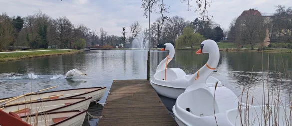 Bis auf Weiteres bleiben die Boote im Trockenen. Nur noch echte Schwäne sollen auf dem Kurparksee schwimmen. - © Annika Langhagel