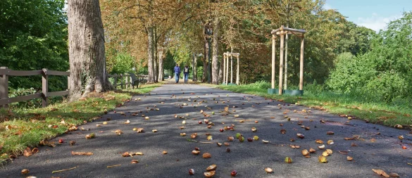 Der Herbst kündigt sich auch auf dem Wall in Lemgo an. - © Martin Düsterberg