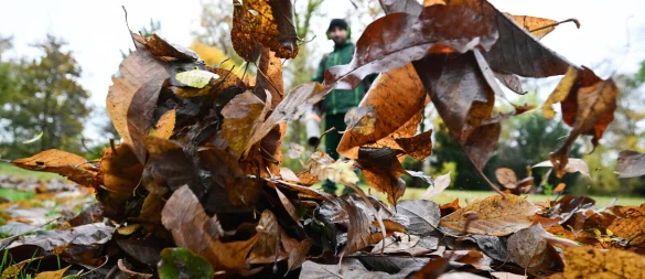 Gartenarbeit kann ganz schön laut sein. Jetzt im Herbst sind vor allem wieder Laubbläser oder -sauger im Einsatz. - © picture alliance/dpa
