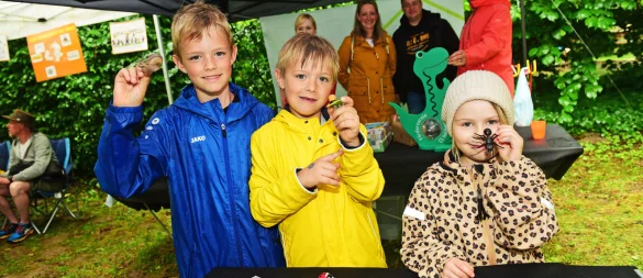 Tom (von links), Max und Charlotte testen ihre Sinne am Stand der Grundschule Holzhausen und ordnen die Insekten verschiedenen Stadien des Lebenszyklusses zu. - © Nicole Ellerbrake