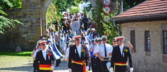 Die Braker Schützen marschieren am Schloss vorbei. - © Nicole Ellerbrake