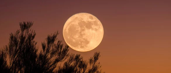 Der erste Supermond des Jahres 2025 erhellt im Oktober den Nachthimmel über OWL. - © Symbolbild: Unsplash