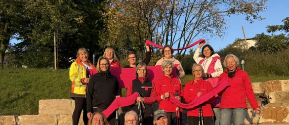 Die Taller Walkinggruppe strickte im vergangenen Sommer zahlreiche, meterlange pinke Schals. Gemeinsam mit Sabine Mirbach (Brustkrebspatientin) umwickeln sie die Bäume des Berggartens in Talle. - © Jan Schillmann
