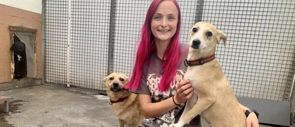 Tierpflegerin Jill Jansen freut sich, dass es den Hunden, die aus der großangelegten Beschlagnahmung in Porta nach Bielefeld gekommen sind, vergleichsweise gut geht. - © Ivonne Michel