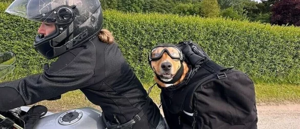 Dusty Wenk und ihr Hund Shorty, der bei kürzeren Fahrten immer dabei ist. - © Bildrechte: Dusty Wenk