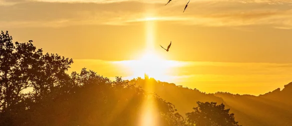 Auch im Bereich des Siebengebirges südlich von Bonn sollen neue Wildnisflächen entstehen. - © IMAGO/Bonn.digital