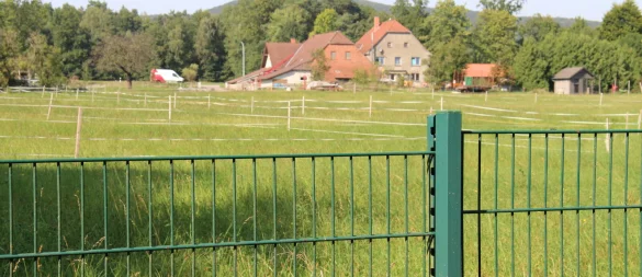 Blick vom Spielplatz an der Sandstraße in Richtung Waldstraße. Die Grünfläche dazwischen von Mergelweg rechts bis zur bestehenden Bebauung links ist seit vielen Jahren als Bauland ausgewiesen. Gebaut wurde dort bislang aber nicht. - © Dieter Asbrock
