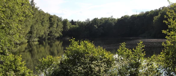Der Pottkuhlenteich könnte bei einem Starkregenereignis bis zu 30.000 Kubikmeter Wasser zusätzlich aufnehmen. - © Nadine Uphoff/Archivfoto