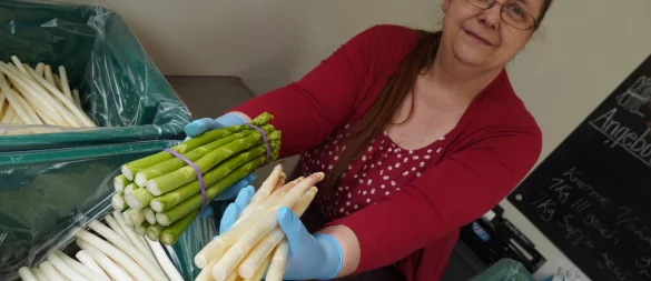 In Silke Nagelschmidts Verkaufsbude in Paderborn gibt es sowohl grünen als auch weißen Spargel im Angebot. - © Felix Schwien