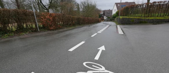 Piktogramme, wie hier auf dem Papenbergweg in Detmold, machen darauf aufmerksam, dass auch Radfahrer auf der Straße unterwegs sind. - © Jost Wolf