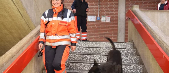 Hundeführerin Patricia Blum ist mit ihrem Rettungshund beim Training im Gymnasium dabei. Anja Kropp beobachtet das Verhalten oben von einer der Treppen aus. Fotos: Karin Prignitz - © Karin Prignitz