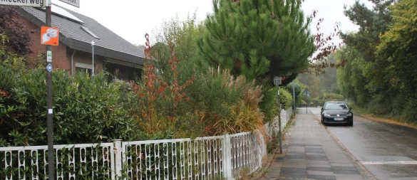Der hintere Teil der Altdorferstraße liegt zwischen Danneckerweg und Corneliusstraße, die beide abschüssig sind. Von dort aus sucht sich das Wasser seinen Weg hinunter, sagt die Stadt. Laut Angela Ellerbrok wird das allerdings auch durch die Kanäle hochgedrückt. - © Lorraine Brinkmann