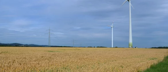 In Leopoldshöhe könnten sechs neue Windkraftanlagen mit Höhen zwischen 180 und 250 Metern entstehen. Ein entsprechendes Prüfverfahren soll klären, ob die vorgesehenen Standorte geeignet sind. Auf dem Bild zu sehen: Windräder im Ortsteil Greste. Foto: Düsterberg - © Martin Düsterberg