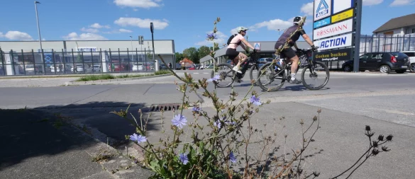 Schon 2021 hatte der ADFC vor einer hohen Verkehrsbelastung rund um das Fachmarktzentrum gewarnt. - © Archivfoto: Jost Wolf