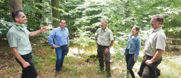 Die Waldexperten Timur Beck (von links), Bürgermeister Torben Blome, Holger-Karste Raguse, Svenja Blome (Stadt Lügde) und Dietmar Blum sprechen direkt vor Ort über die große Herausforderung des Waldnaturschutzes im Klimawandel. - © Michaela Weiße